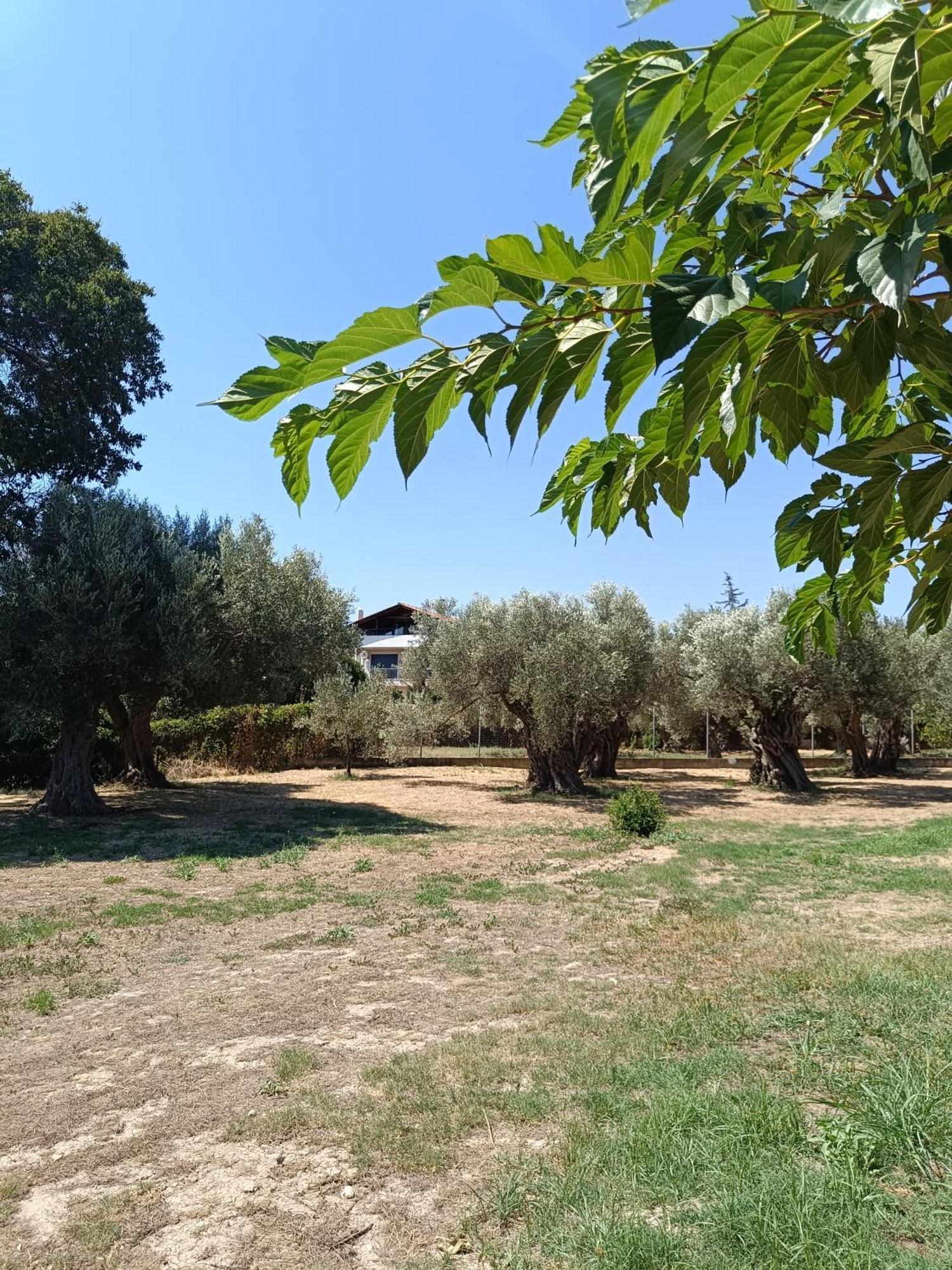 Holiday home Eleonas