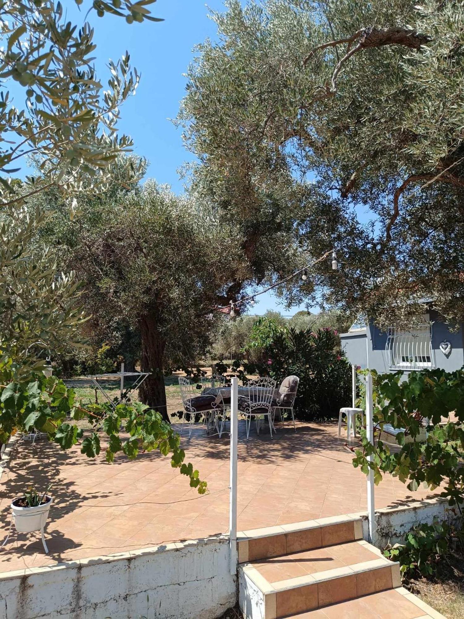 Holiday home Eleonas